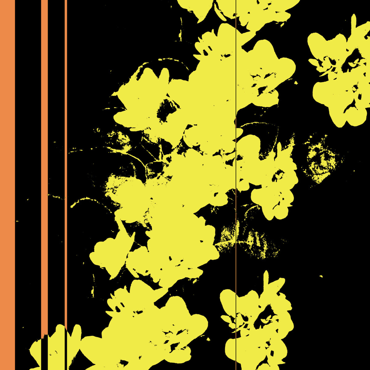 0053 yellow flowers cover art